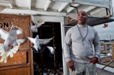 Mike Tyson and his Pet Pigeons